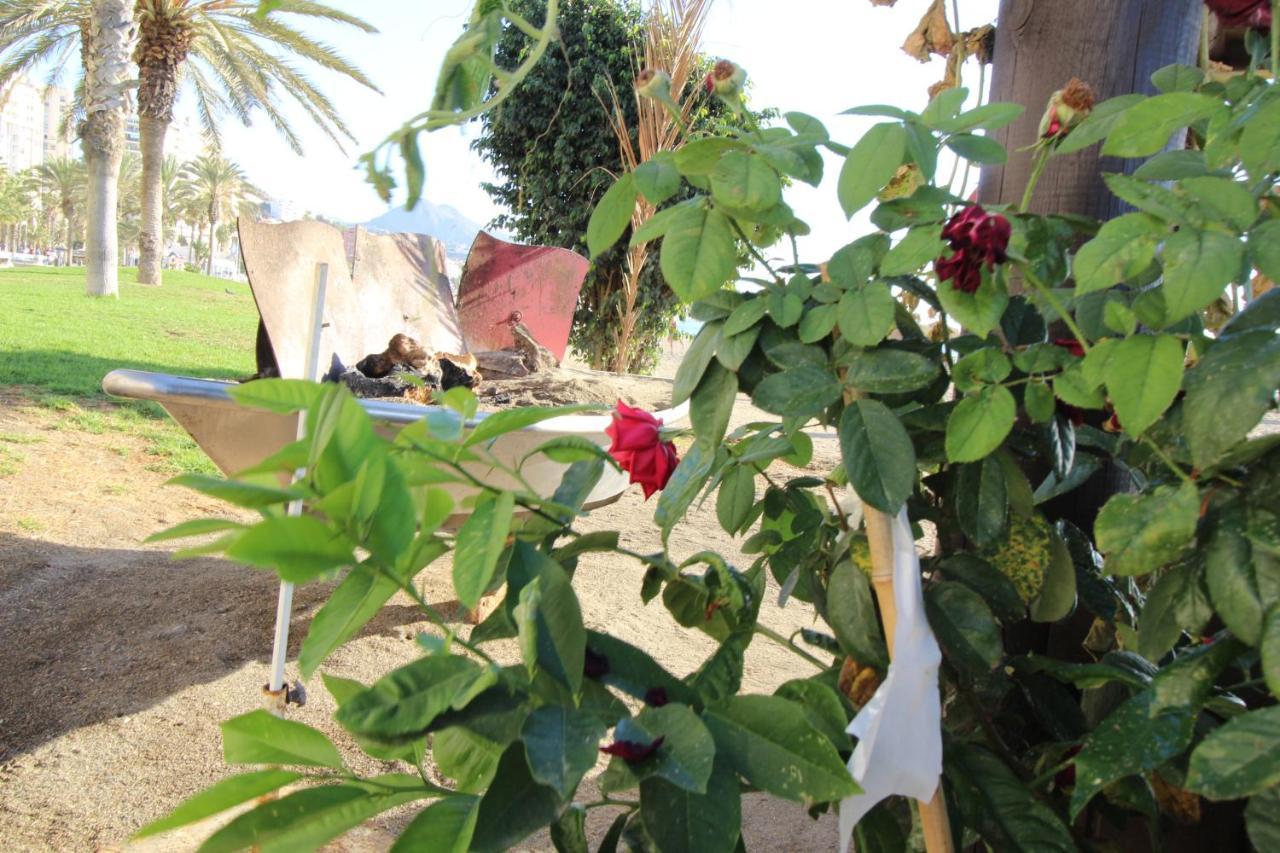 דירות Del Parque Flats La Joya De מאלגה מראה חיצוני תמונה